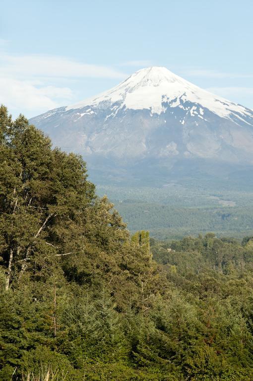 Cabanas Patagonia Lefun 푸콘 외부 사진